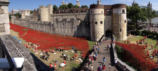 Illustration for article titled 888,246 Handmade Poppies Surround the Tower of London to Commemorate WWI
